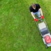 Gardeners warned not to mow their grass this week