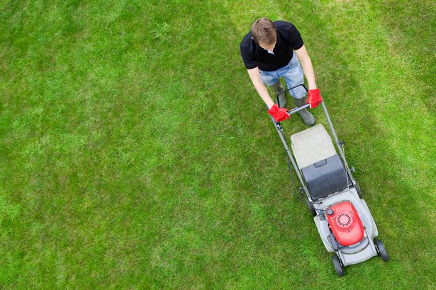 Gardeners warned not to mow their grass this week