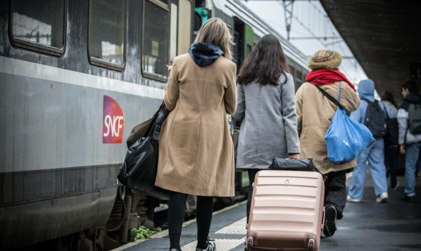 Pass rail : 253 376 exemplaires vendus cet été, en dessous des objectifs du gouvernement