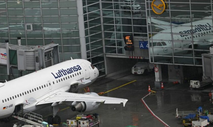 Ab Donnerstag fliegt Lufthansa auch wieder nach Israel. (Archivbild) Foto: Arne Dedert/dpa