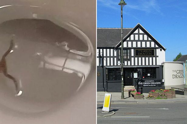 Wetherspoon drinker's shock as frog swims up into toilet and splashes around