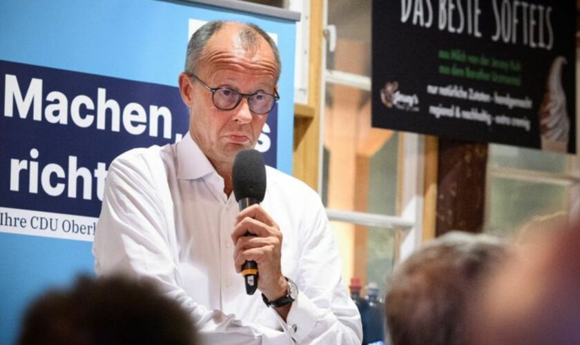 CDU-Chef Friedrich Merz spricht im CDU-Wahlkampf. Am 22. September ist Landtagswahl in Brandenburg. Foto: Bernd von Jutrczenka/d