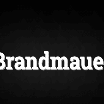 Le “Brandmauer” allemand, un pare-feu de plus en plus fragile contre l’extrême droite