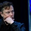 What is the sexist theory shared by Elon Musk for a republic of ‘high-status males’