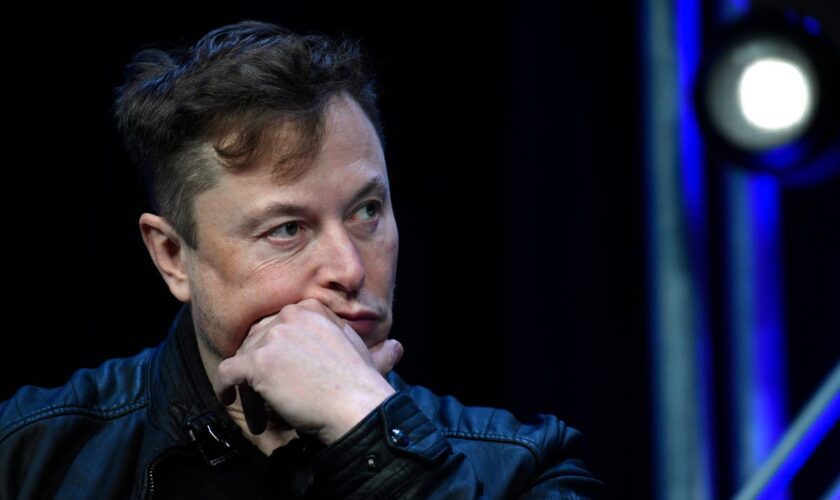 What is the sexist theory shared by Elon Musk for a republic of ‘high-status males’