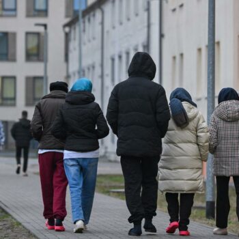 „Die Grünen sind die letzten, die allmählich die Wirklichkeit zur Kenntnis nehmen“