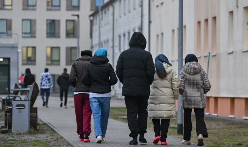 „Die Grünen sind die letzten, die allmählich die Wirklichkeit zur Kenntnis nehmen“