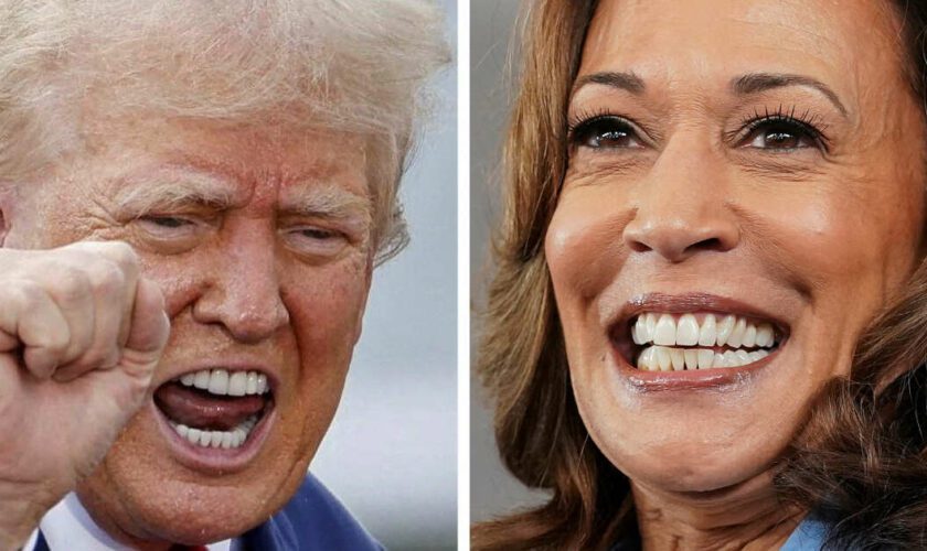 Pourquoi les insultes de Donald Trump contre Kamala Harris ne prennent pas