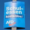 Erfolg bei den Landtagswahlen: Darum haben so viele junge Menschen in Sachsen und Thüringen die AfD gewählt