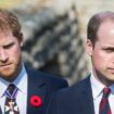 Prince William's ally slams Harry with savage two-word insult over 'part-time' royal role