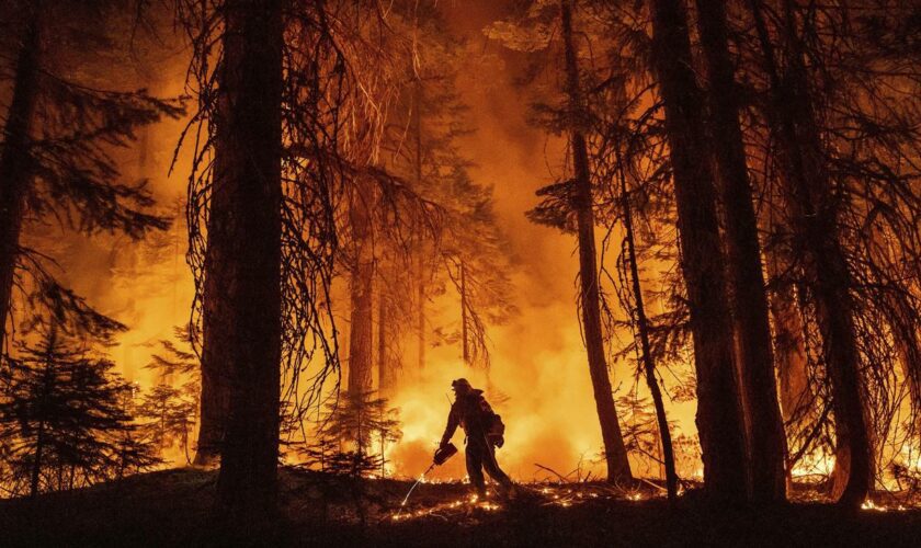 USA: Hunderte fliehen vor Waldbrand in Nordkalifornien