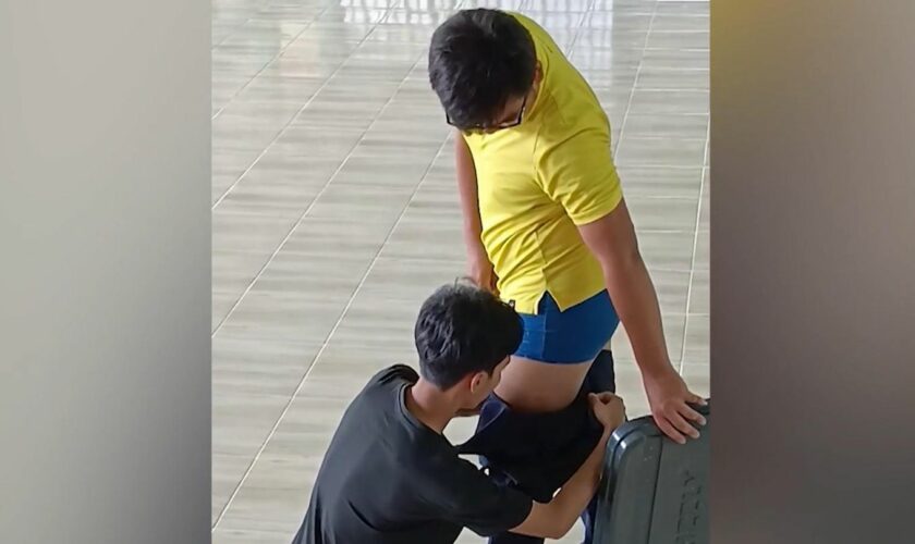 Thailand: Schlangenexperte will aufklären – dann kriecht eine Kobra in seine Hose