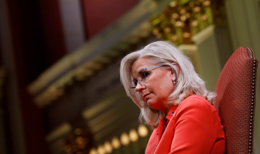 Liz Cheney endorses Kamala Harris and warns of ‘danger’ Trump poses to Constitution