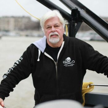 La détention du fondateur de Sea Shepherd, Paul Watson, prolongée de 28 jours au Groenland