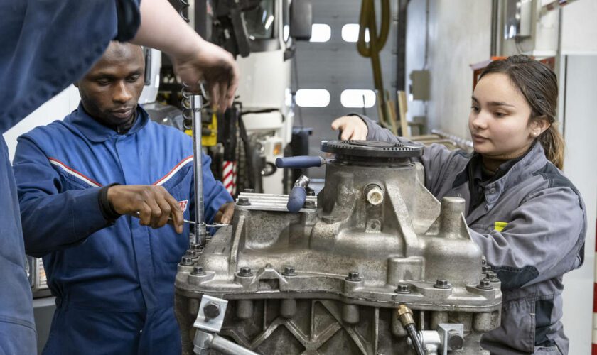 L’apprentissage, gisement d’économies budgétaires pour le prochain gouvernement