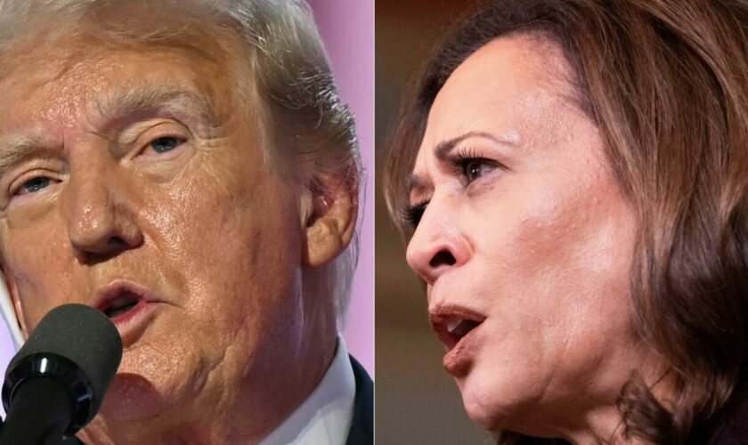 Présidentielle américaine : Donald Trump et Kamala Harris au coude-à-coude dans trois États-clés