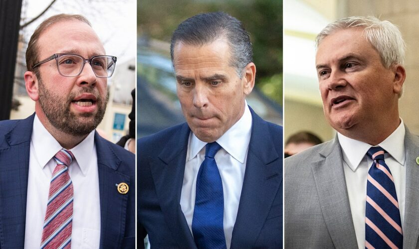 House Republicans cry 'vindication' after Hunter Biden guilty plea