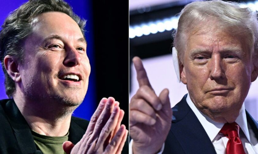 Présidentielle américaine : Donald Trump veut charger Elon Musk d'un "audit" de l'État