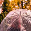 Orages, pluies ou grand soleil... La France coupée en trois ce week-end