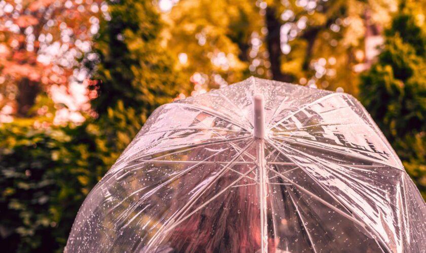 Orages, pluies ou grand soleil... La France coupée en trois ce week-end