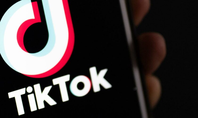 „TikTok ist ein Tummelplatz für Radikale aller Sorten“