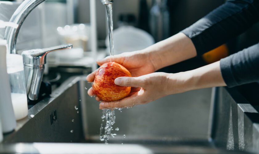 Laver ses fruits et légumes au lave-vaisselle, comme on le voit sur TikTok est une (très) mauvaise idée