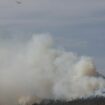 Vor zwei Jahren hatte der Landkreis Harz den Katastrophenfall wegen eines Brandes am Brocken ausgerufen - jetzt ist dort wieder