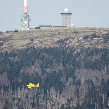 Harz: Etwa 500 Menschen wegen Waldbrand vom Brocken gebracht