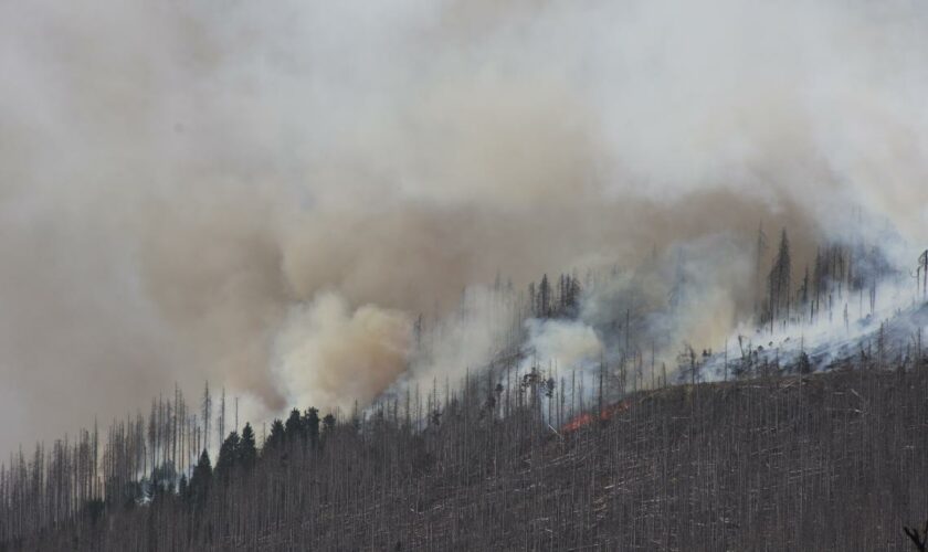 Waldbrand breitet sich am Brocken aus – Löschflugzeuge im Einsatz