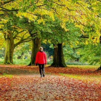 UK weather: Brits brace for icy -10C temperature plunge in stark six-day change