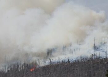 Harz: 500 Menschen werden wegen Waldbrand vom Brocken geholt