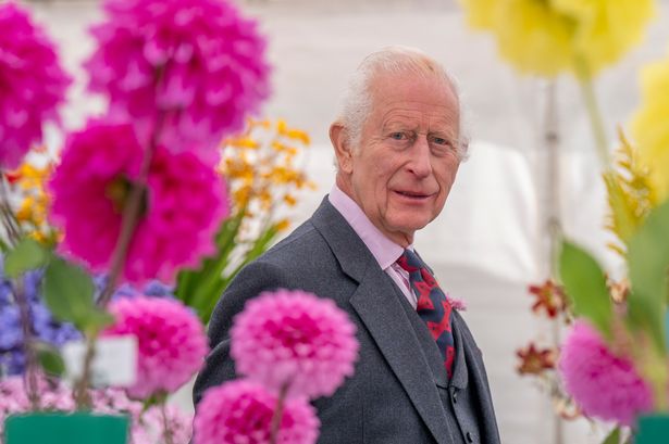 King Charles health latest as royal insider issues 15-word update on cancer battle