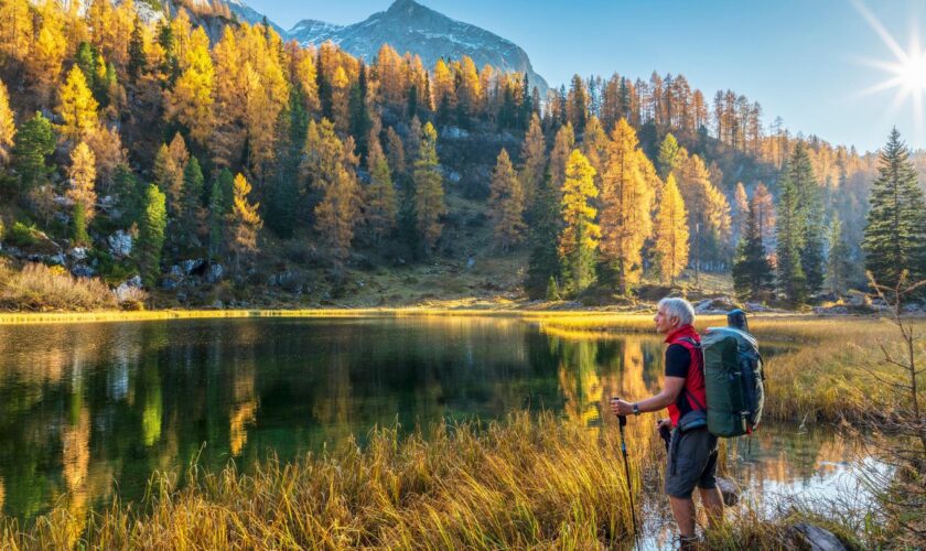 Italien: Herbstwandern in Südtirol: Die Highlights für jedes Fitnesslevel