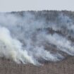 Feuer im Harz breitet sich nicht weiter aus – Feuerwehr rechnet mit Entwarnung am Montag