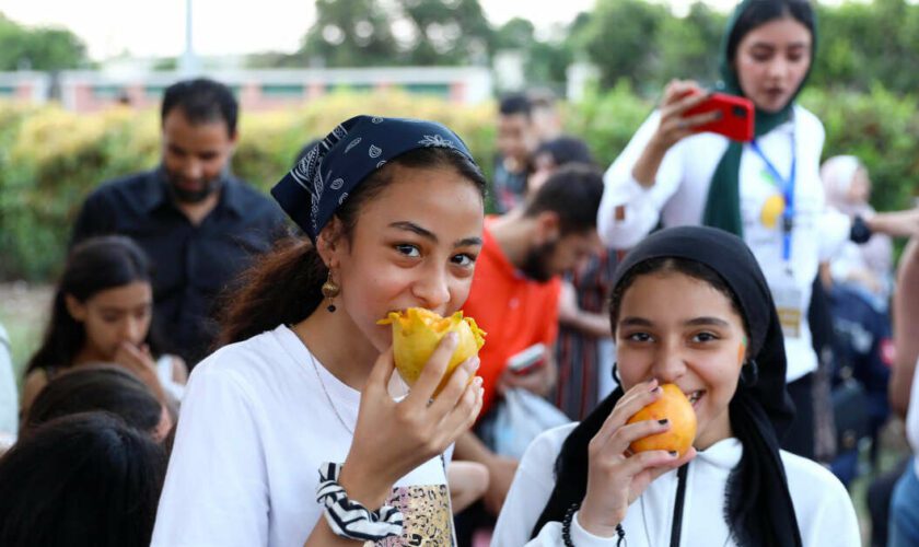 La mangue d’Égypte, “délice halal et légal”