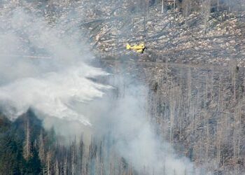 Harz: Feuer am Brocken noch nicht unter Kontrolle trotz Großeinsatz