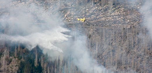 Harz: Feuer am Brocken noch nicht unter Kontrolle trotz Großeinsatz