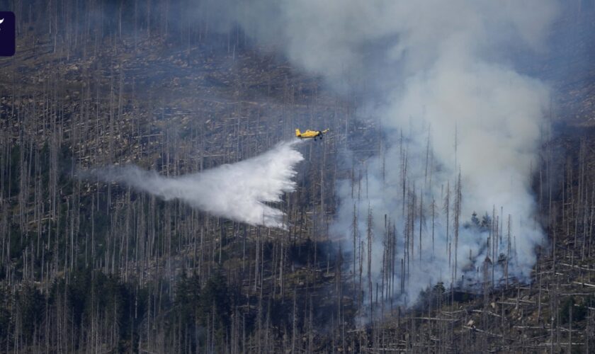 Brand im Harz: Einsatzkräfte hoffen auf Wetterwechsel