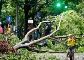 »Yagi« fordert in Vietnam mindestens 22 Tote