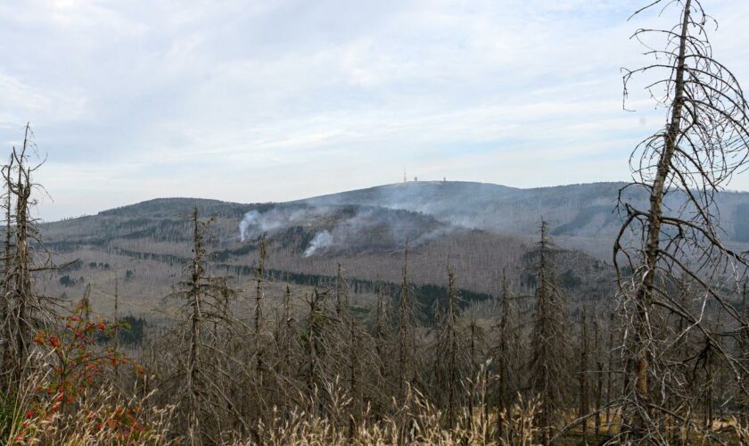 Waldbrand im Harz: Brand am Brocken ist laut Behörden unter Kontrolle