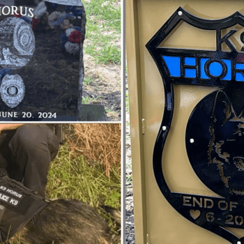 Missouri police officer charged in death of K-9 officer left in hot car