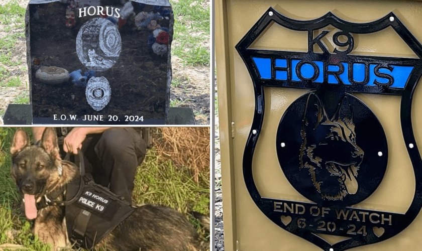 Missouri police officer charged in death of K-9 officer left in hot car