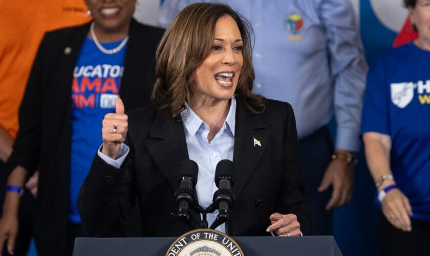 Harris solidifies support with Black voters, Trump numbers hold steady: poll