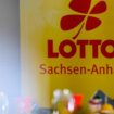 Gefördert wird mit den Lotto-Geldern unter anderem der Jugendbauernhof in Deetz. (Symbolbild) Foto: Klaus-Dietmar Gabbert/dpa