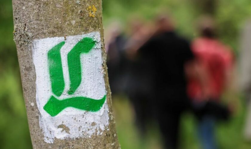 Die Lutherwege Sachsen-Anhalt und Brandenburg werden vereinigt. (Archivbild) Foto: Jan Woitas/dpa