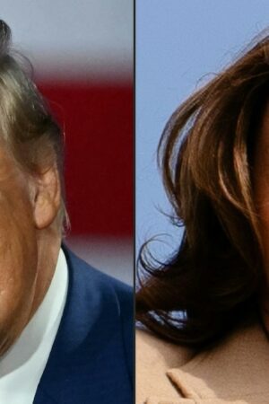 Combo photo de Donald Trump et Kamala Harris, créé le 6 septembre 2024