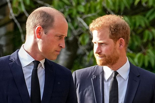 Prince William's cutting comment to brother Harry that broke his heart