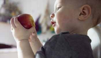 Pour les repas des enfants, ces recommandations nutritionnelles invitent à réduire les viennoiseries ou les jus de fruits