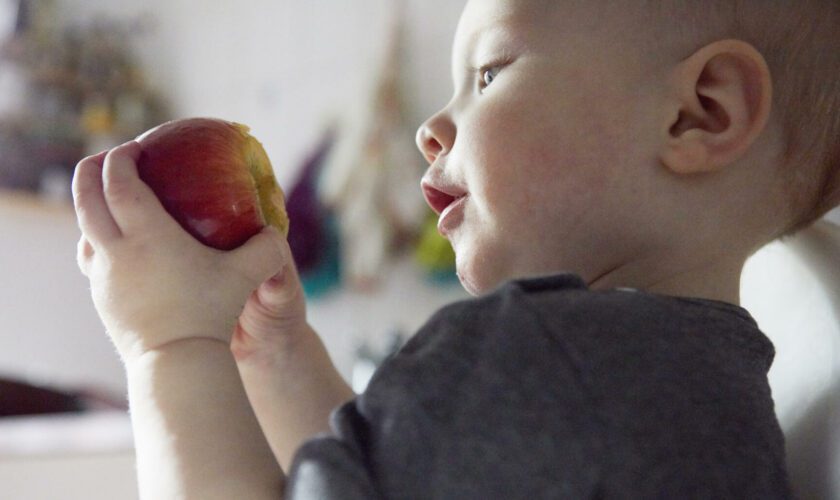 Pour les repas des enfants, ces recommandations nutritionnelles invitent à réduire les viennoiseries ou les jus de fruits