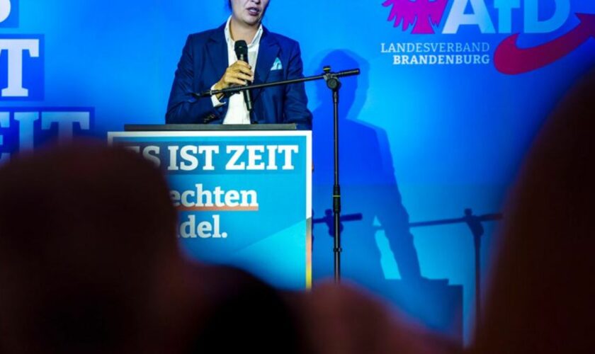 Hofft auf eine Zäsur mit der Brandenburg-Wahl: Alice Weidel. Foto: Frank Hammerschmidt/dpa